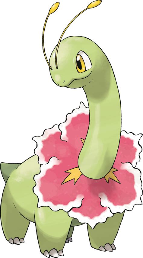 Megasonum .